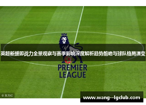 英超新援即战力全景观察与赛季影响深度解析趋势前瞻与球队格局演变