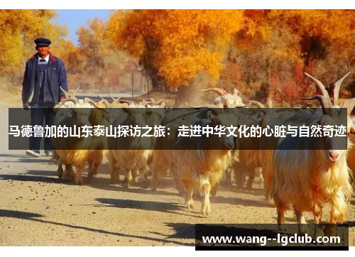 马德鲁加的山东泰山探访之旅：走进中华文化的心脏与自然奇迹