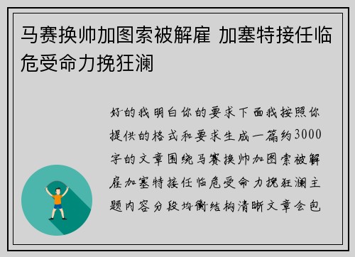马赛换帅加图索被解雇 加塞特接任临危受命力挽狂澜